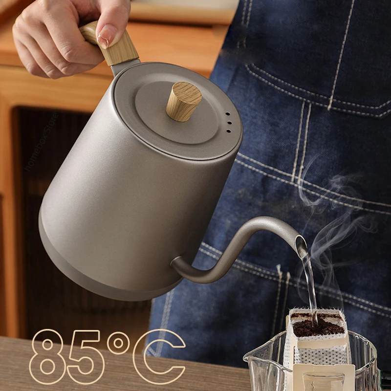 110V/220V Gooseneck Electric K - Electric Kettle Gooseneck review and price
