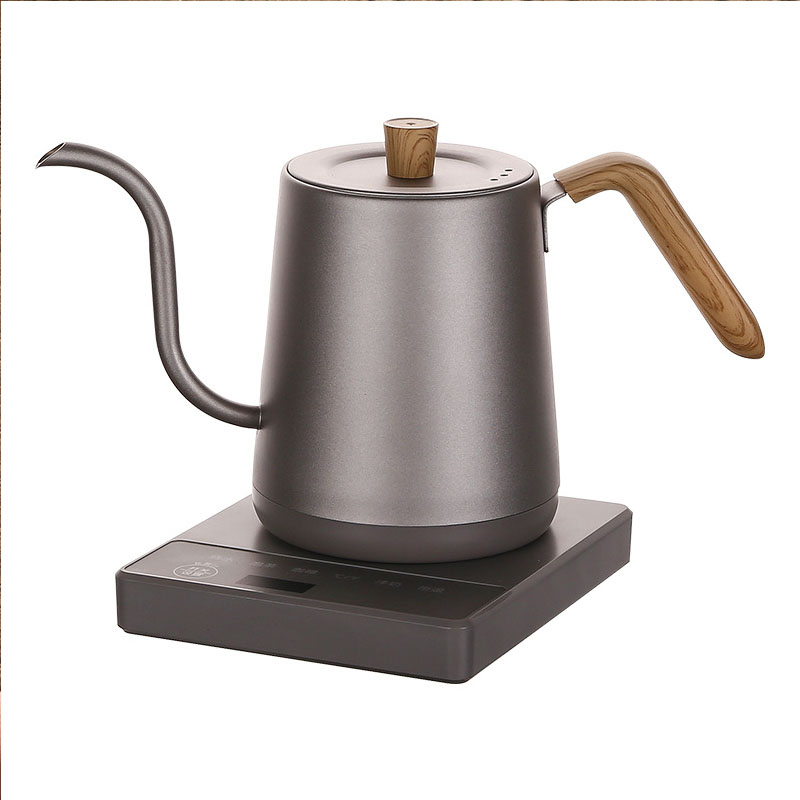 110v 220v Kettle teapot goose  - Electric Kettle Gooseneck review and price