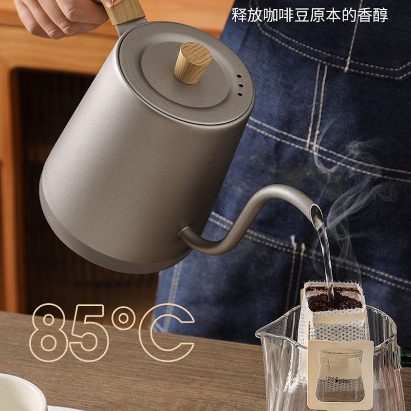 110v 220v Kettle teapot goose  - Electric Kettle Gooseneck review and price