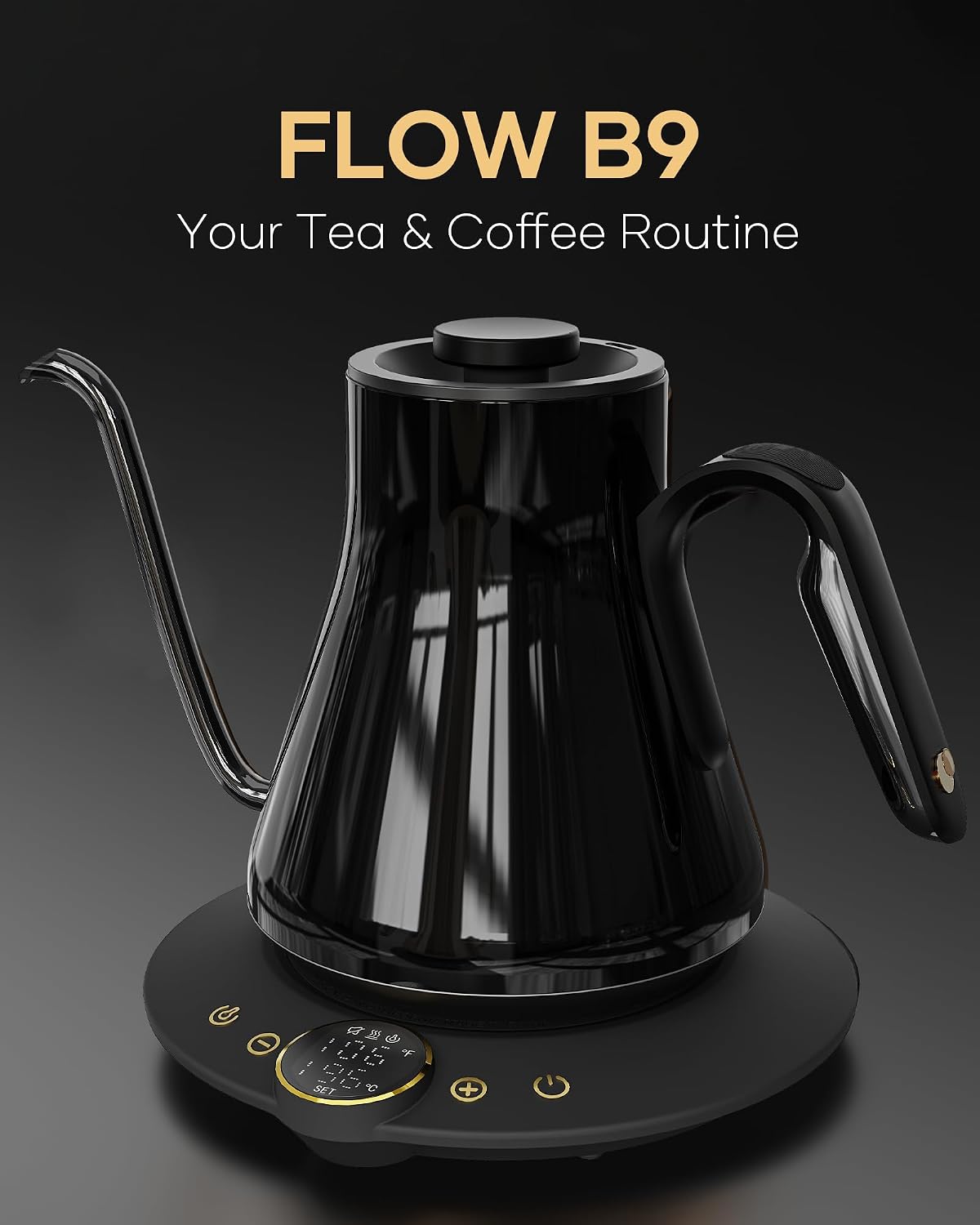 Gooseneck Electric Kettle, ±1° - Electric Kettle Gooseneck review and price