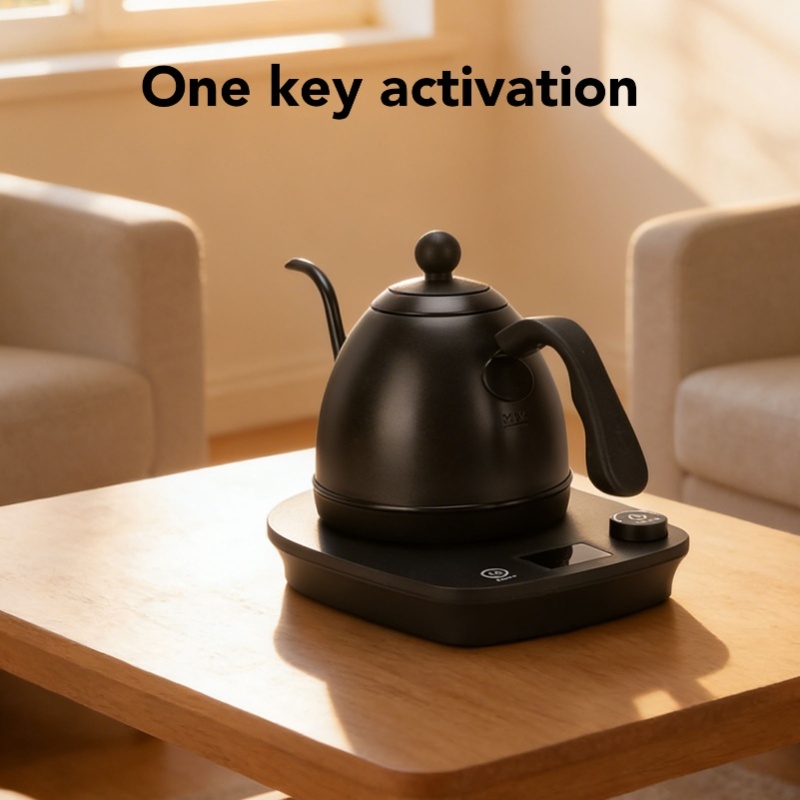 1000W Electric Gooseneck Kettl - Electric Kettle Gooseneck review and price