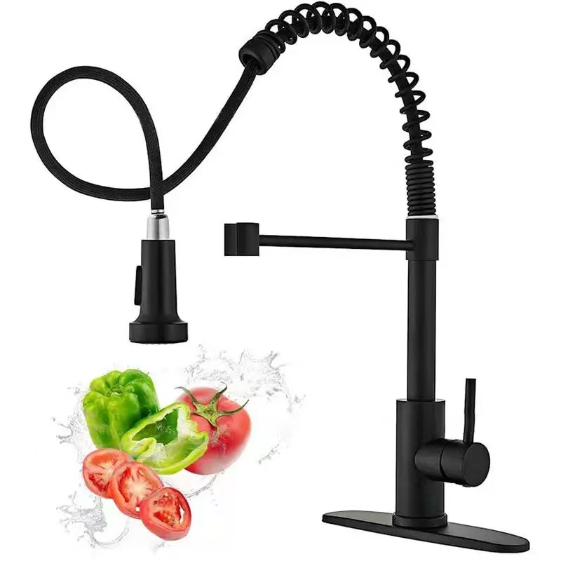 Stainless steel kitchen faucet - Kitchen Appliances White review and price